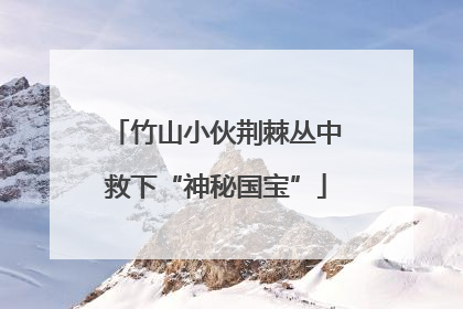 竹山小伙荆棘丛中救下“神秘国宝”