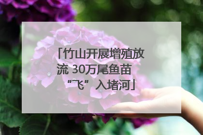 竹山开展增殖放流 30万尾鱼苗“飞”入堵河
