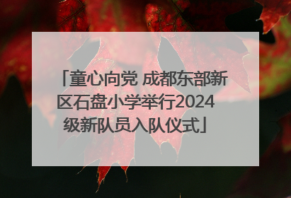 童心向党 成都东部新区石盘小学举行2024级新队员入队仪式