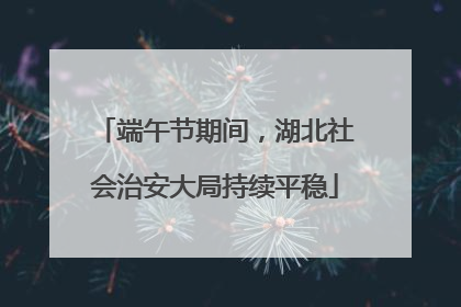 端午节期间，湖北社会治安大局持续平稳