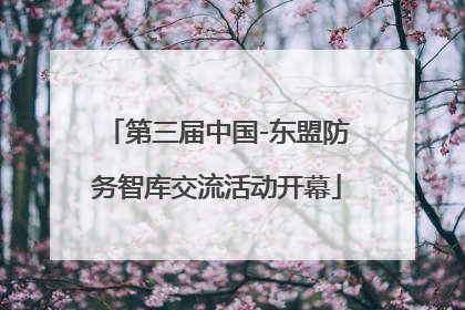第三届中国-东盟防务智库交流活动开幕