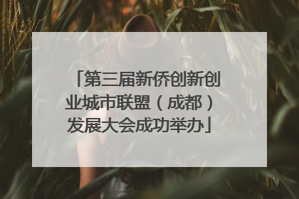 第三届新侨创新创业城市联盟（成都）发展大会成功举办