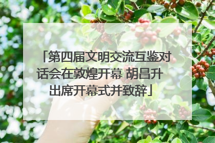 第四届文明交流互鉴对话会在敦煌开幕 胡昌升出席开幕式并致辞