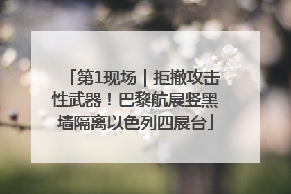 第1现场｜拒撤攻击性武器！巴黎航展竖黑墙隔离以色列四展台