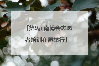 第9届南博会志愿者培训在昆举行