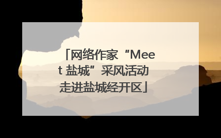 网络作家“Meet 盐城”采风活动走进盐城经开区