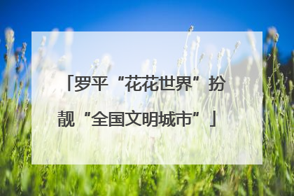 罗平“花花世界”扮靓“全国文明城市”
