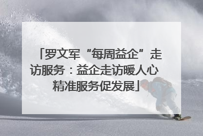 罗文军“每周益企”走访服务：益企走访暖人心 精准服务促发展