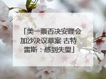 美一票否决安理会加沙决议草案 古特雷斯：感到失望