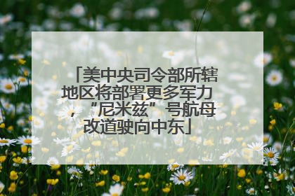 美中央司令部所辖地区将部署更多军力，“尼米兹”号航母改道驶向中东