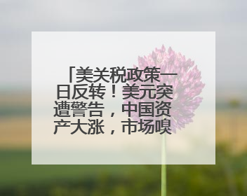 美关税政策一日反转！美元突遭警告，中国资产大涨，市场嗅到危险气息→