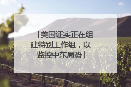 美国证实正在组建特别工作组，以监控中东局势