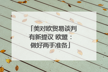 美对欧贸易谈判有新提议 欧盟：做好两手准备