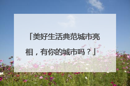 美好生活典范城市亮相，有你的城市吗？