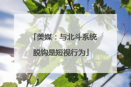 美媒：与北斗系统脱钩是短视行为