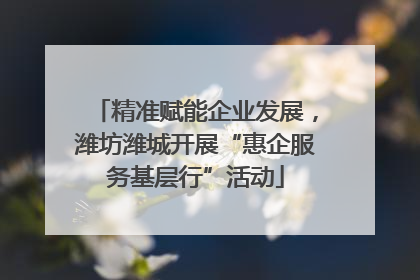 精准赋能企业发展，潍坊潍城开展“惠企服务基层行”活动
