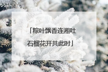 粽叶飘香连湘吐 石榴花开共此时