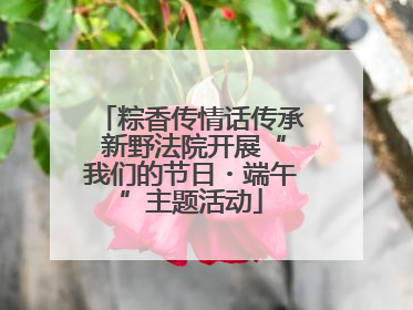 粽香传情话传承 新野法院开展“我们的节日・端午”主题活动