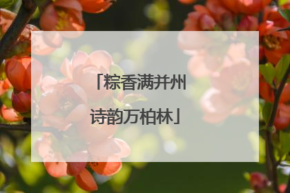 粽香满并州 诗韵万柏林