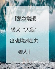 紧急增援！警犬“天狼”出动找到走失老人