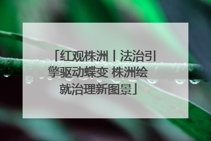 红观株洲丨法治引擎驱动蝶变 株洲绘就治理新图景