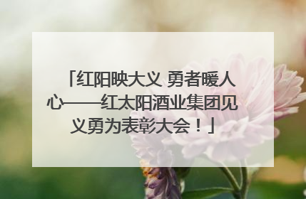 红阳映大义 勇者暖人心——红太阳酒业集团见义勇为表彰大会！