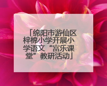 绵阳市游仙区梓棉小学开展小学语文“富乐课堂”教研活动