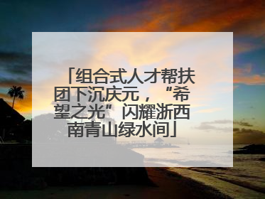 组合式人才帮扶团下沉庆元，“希望之光”闪耀浙西南青山绿水间