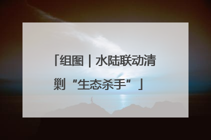 组图｜水陆联动清剿“生态杀手”