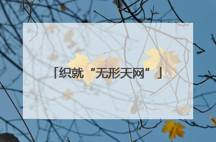 织就“无形天网”
