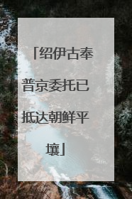 绍伊古奉普京委托已抵达朝鲜平壤