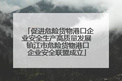 促进危险货物港口企业安全生产高质量发展 镇江市危险货物港口企业安全联盟成立
