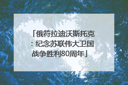 俄符拉迪沃斯托克：纪念苏联伟大卫国战争胜利80周年