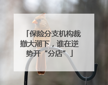 保险分支机构裁撤大潮下，谁在逆势开“分店”