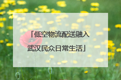 低空物流配送融入武汉民众日常生活