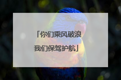 你们乘风破浪 我们保驾护航