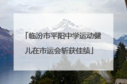 临汾市平阳中学运动健儿在市运会斩获佳绩