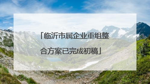 临沂市属企业重组整合方案已完成初稿