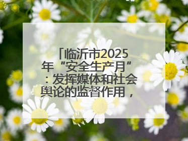 临沂市2025年“安全生产月”：发挥媒体和社会舆论的监督作用，及时发现并消除安全隐患