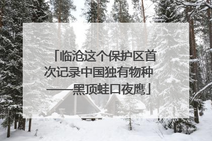临沧这个保护区首次记录中国独有物种——黑顶蛙口夜鹰