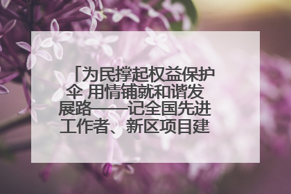 为民撑起权益保护伞 用情铺就和谐发展路——记全国先进工作者、新区项目建设中心干部卢小勇