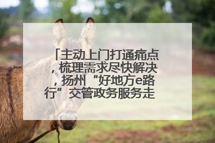 主动上门打通痛点，梳理需求尽快解决，扬州“好地方e路行”交管政务服务走进规上企业