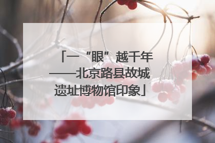 一“眼”越千年——北京路县故城遗址博物馆印象