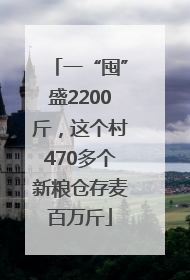 一“囤”盛2200斤，这个村470多个新粮仓存麦百万斤