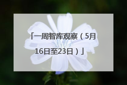 一周智库观察（5月16日至23日）