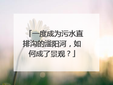 一度成为污水直排沟的滏阳河，如何成了景观？