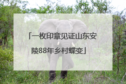 一枚印章见证山东安陵88年乡村蝶变