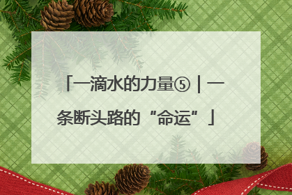 一滴水的力量⑤｜一条断头路的“命运”