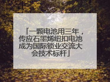一颗电池用三年，传应石墨烯纽扣电池成为国际锁业交流大会技术标杆