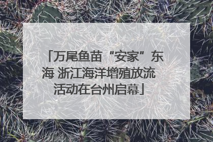 万尾鱼苗“安家”东海 浙江海洋增殖放流活动在台州启幕